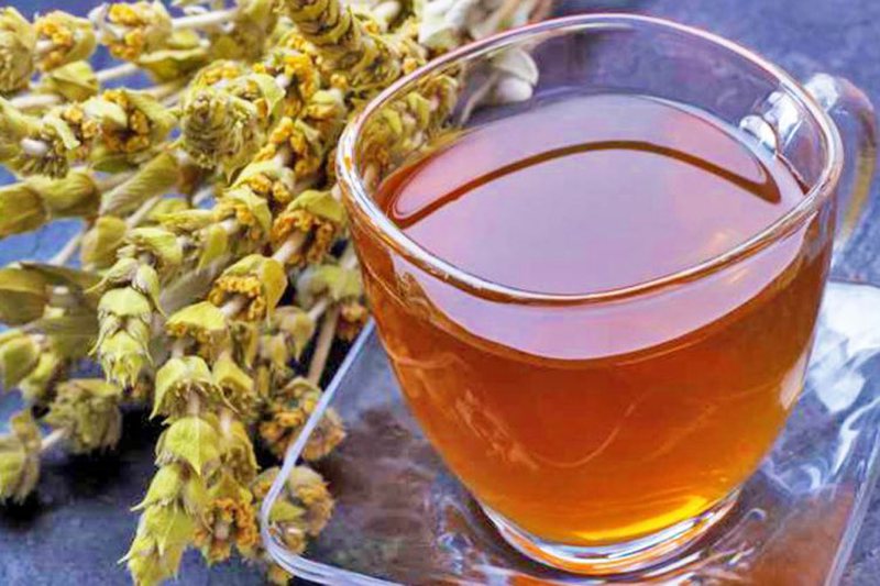 Albanian Mountain Tea